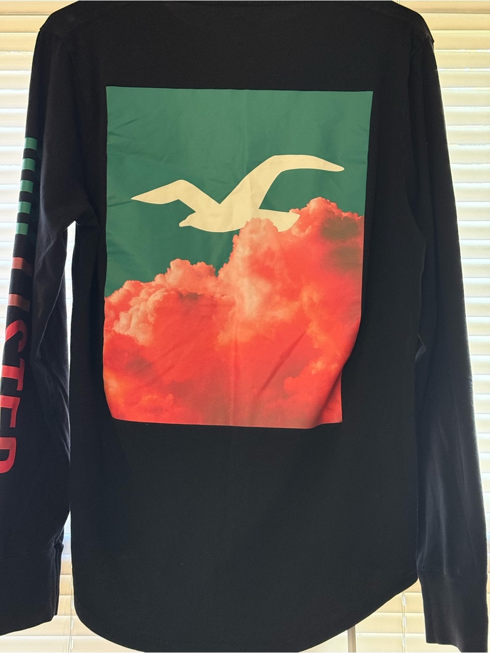 Hollister Black Long Sleeve Graphic Tee Medium - Picture 2 of 5